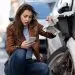 Qué hacer en un accidente de tránsito